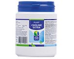 PUUR Natuur Puur Choline Extra Poeder 100GR
