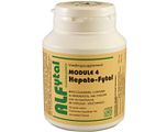 Alfytal Hepato Fytal Vegetarische Capsules 90VCP Alfytal Hepato Fytal Vegetarische Capsules 90VCP