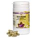 Holisan Shatavari Capsules 60CP