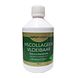 Natupharma Viscollageen Vloeibaar 500ML Natupharma Viscollageen Vloeibaar 500ML