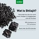 Purasana Shilajit Capsules 30VCP Wat is Shilajit ?