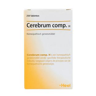Heel Cerebrum Compositum H Tabletten 250TB Heel Cerebrum Compositum H Tabletten 250TB