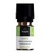 Volatile Mirte (Myrtus Communis) 5ML Flesje Volatile Mirte (Myrtus Communis) 5ML Flesje