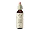 Bach Flower Remedies Gaspeldoorn 13 20ML