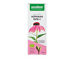Purasana Echinacea Forte+ Druppels 50ML