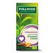 Piramide Groene Thee Verwarmend 20ST
