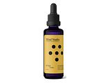 Mind Studio Biologisch Chaga Vitality Extract 50ML