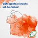 Vsm Tonsiotreen Zuigtabletten 40TB