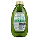 Garnier Loving Blends Voedende Shampoo Mythische Olijf 300ML