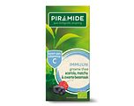 Piramide Groene Thee Immuun 20ST