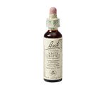 Bach Flower Remedies Paardekastanje 35 20ML