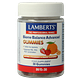 Lamberts Bioom Balans Advanced Gummies 30ST