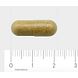 Orthica Multi Orthiflor Capsules 60VCP