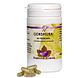 Holisan Gokshura Capsules 60CP Holisan Gokshura Capsules 60CP