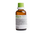 Energetica Natura Symbioflor Immun Pro Druppels 50ML