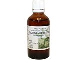 Natura Sanat Cnicus Benedictus/Gezegende Distel 50ML