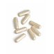 Biotics TriButyric Capsules 60CP