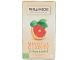 Piramide Mindful Clarity Citrus & Mate Thee 20ZK