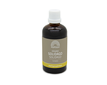 Mattisson HealthStyle Biologisch Solidago Complex Druppels 100ML