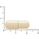 Vitakruid Rhodiola extract 500 mg 3% Rosavin 1% Salidroside 60VCP