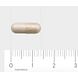 AOV 1201 Biotica 4 Miljard Vegacaps 60VCP Afmeting capsule