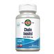 Kal Cholin & Inositol 500mg Tabletten 90TB