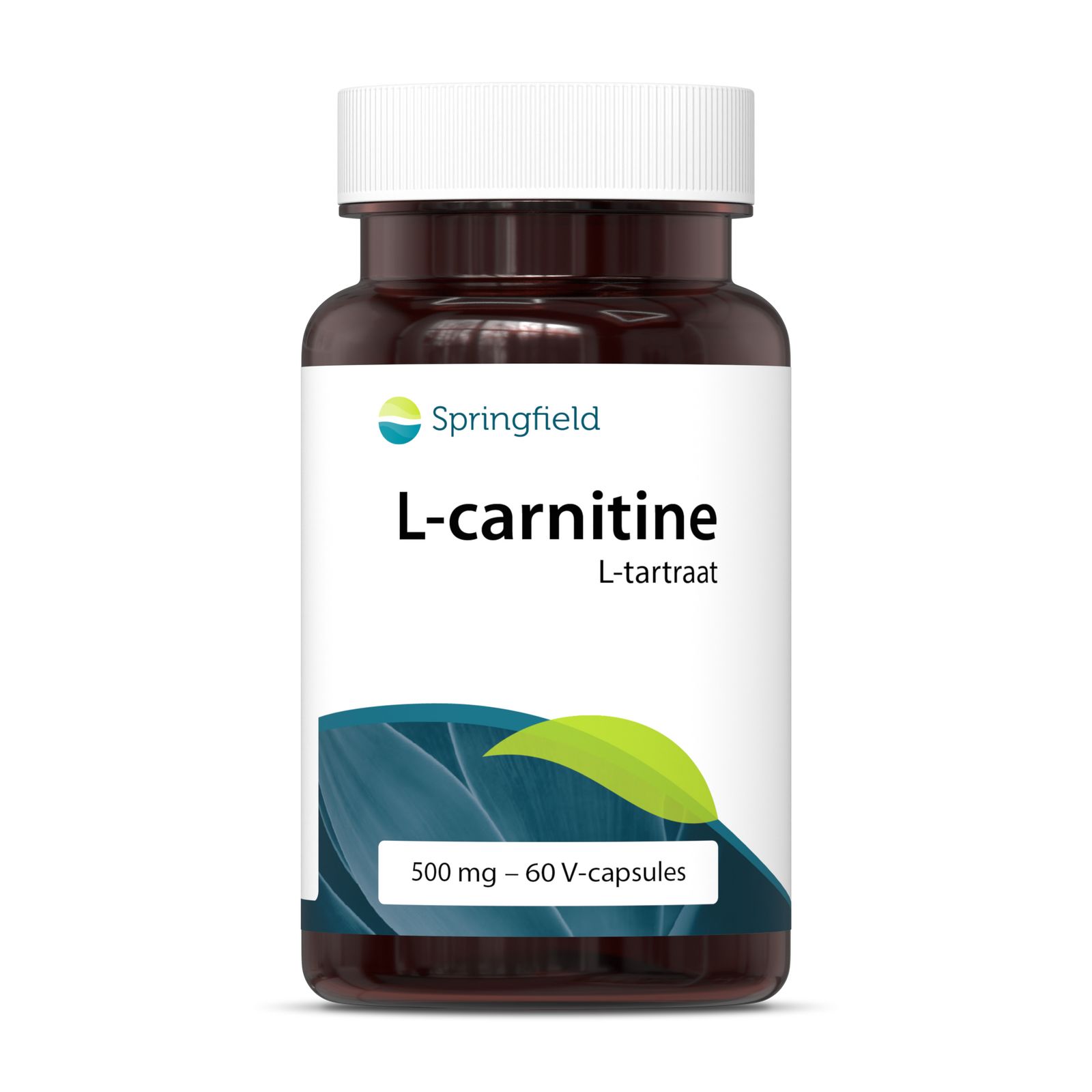 L-Carnitine kopen? Shop voordelig online