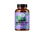 Cruydhof Kaneel Extract 10:1 Capsules 60VCP