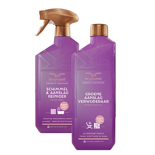 Bruynzeel Cosmetic Homecare Schimmel Aanpak 2ST