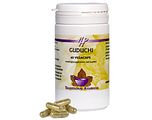 Holisan Guduchi Capsules 60CP