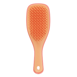 Tangle Teezer Detagling Mini Haarborstel 1ST