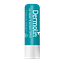 Dermolin Lip Repair & Protect SPF10 4,8GR