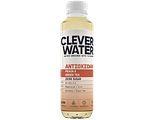 Clever Water Antioxidant Peach & Green Tea 500ML