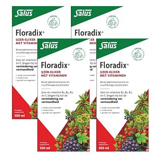 Salus Elixer Floradix 4x500ML Salus Elixer Floradix 4x500ML