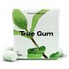 True Gum Mint 21GR