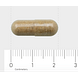 AOV 1013 ADR Complex Capsules 60VCP formaat capsule