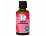 Natura Sanat Glycyrrhiza Glabra Radix/Zoethout 100ML Natura Sanat Glycyrrhiza Glabra Radix/Zoethout 100ML