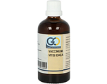 GO Gemmo Oplossingen Vaccinium Vitis Idaea Bio Tinctuur 100ML