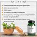 Vanan Brahmi Capsules 60CP Vanan Brahmi Capsules 60CP