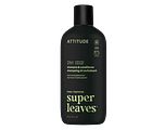 Attitude Super Leaves Men Versterkende 2-In-1 Shampoo & Conditioner 415ML