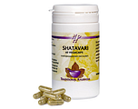 Holisan Shatavari Capsules 60CP Holisan Shatavari Capsules 60CP