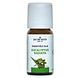 Jacob Hooy Essentiële Olie Eucalyptus Radiata 10ML