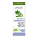 Physalis Aromatherapy Ravintsara 10ML Physalis Aromatherapy Ravintsara 10ML