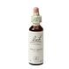 Bach Flower Remedies Hondsroos 37 20ML