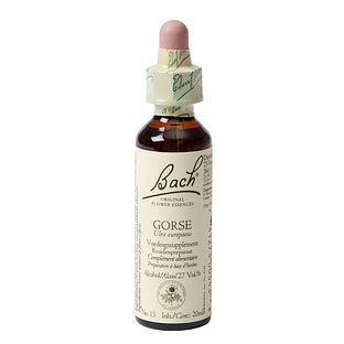 Bach Flower Remedies Gaspeldoorn 13 20ML