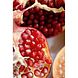 Weleda Granaatappel Regenererende Body Olie 100ML Weleda Granaatappel Regenererende Body Olie granaatappel Weleda Granaatappel Regenererende Body Olie 100ML Weleda Granaatappel Regenererende Body Olie granaatappel