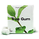 True Gum Mint 21GR