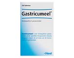 Heel Gastricumeel Tabletten 250TB