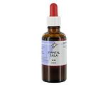 Holisan Jivantal Taila Olie 50ML