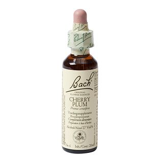 Bach Flower Remedies Kerspruim 06 20ML